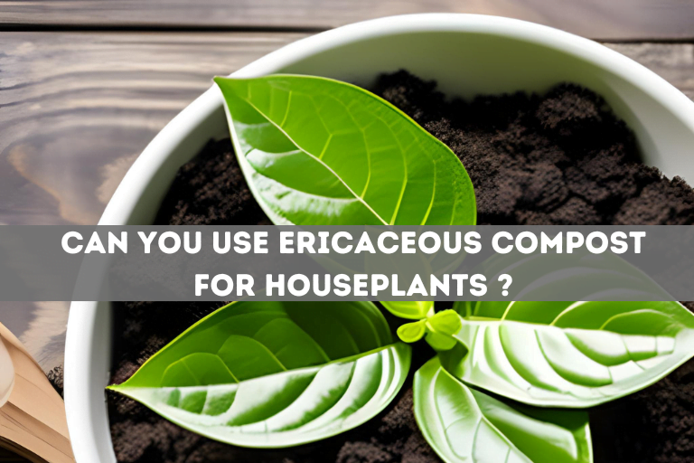 Can You Use Ericaceous Compost for Houseplants: Yes!