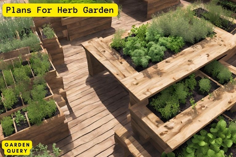 Plans For Herb Garden