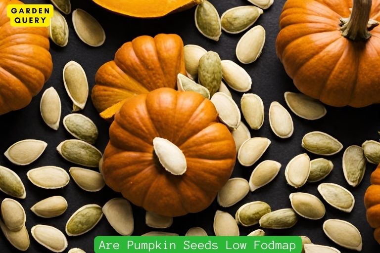 Are Pumpkin Seeds Low Fodmap