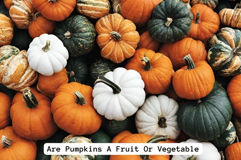 Are Pumpkins A Fruit Or Vegetable