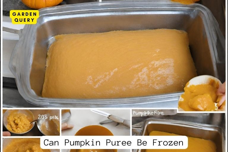 Can Pumpkin Puree Be Frozen