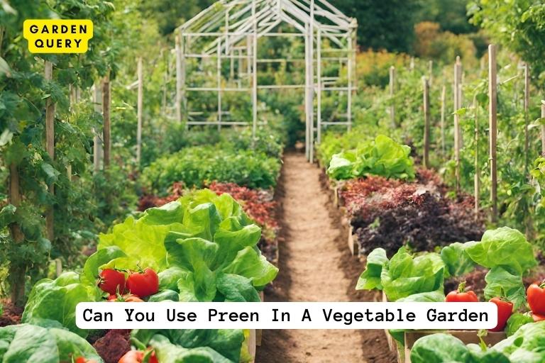 Can You Use Preen In A Vegetable Garden