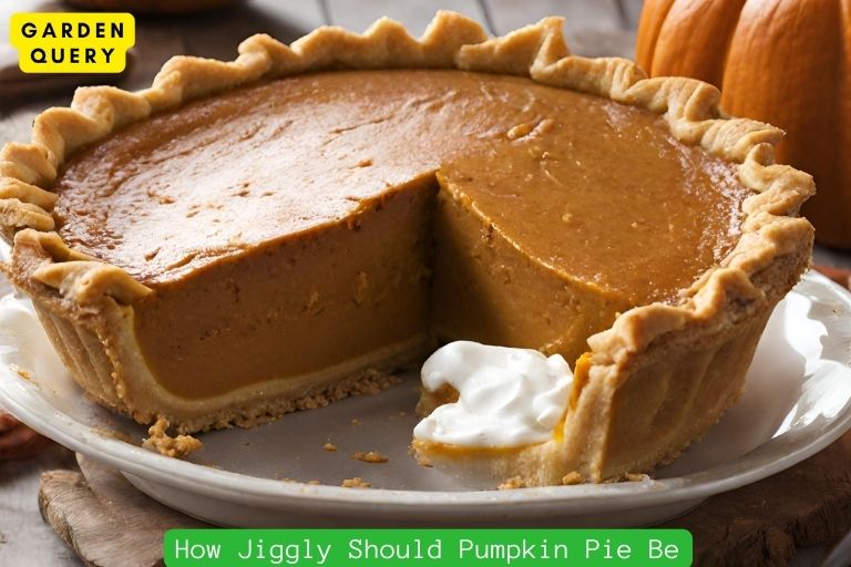 How Jiggly Should Pumpkin Pie Be
