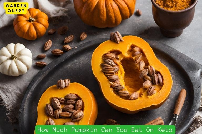 How Much Pumpkin Can You Eat On Keto