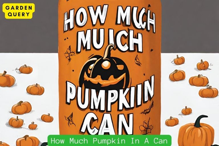 How Much Pumpkin In A Can