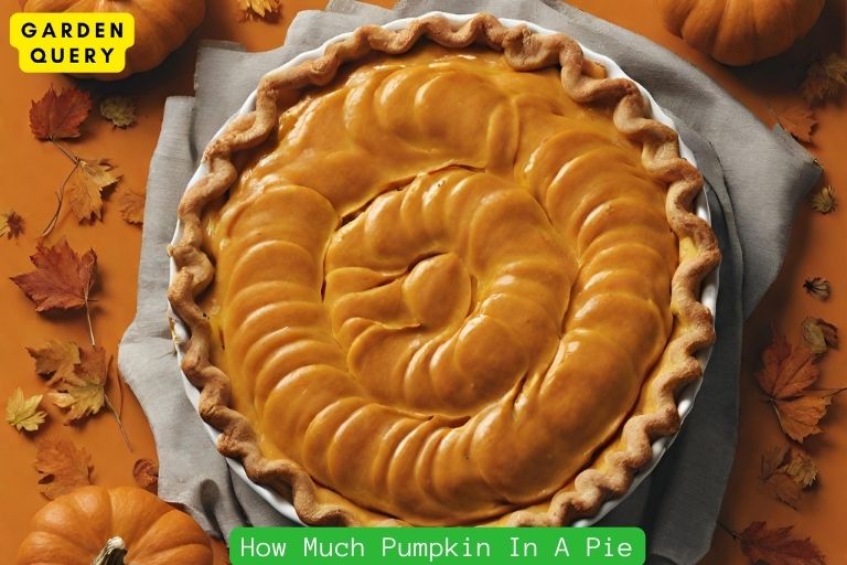How Much Pumpkin In A Pie