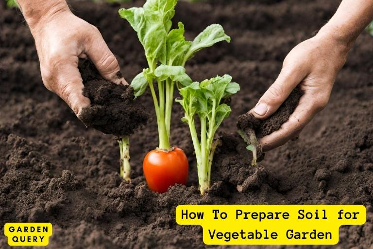 How To Prepare Soil for Vegetable Garden