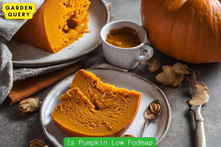 Is Pumpkin Low Fodmap