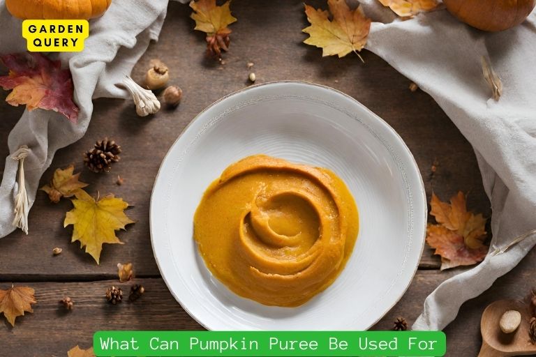 What Can Pumpkin Puree Be Used For