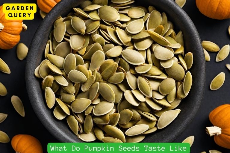 What Do Pumpkin Seeds Taste Like