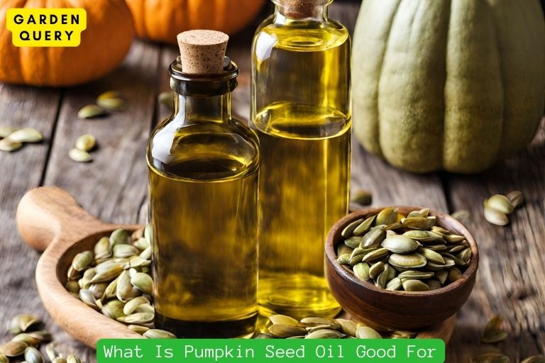 What Is Pumpkin Seed Oil Good For