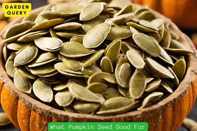 What Pumpkin Seed Good For