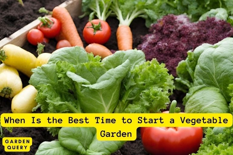 When Is the Best Time to Start a Vegetable Garden