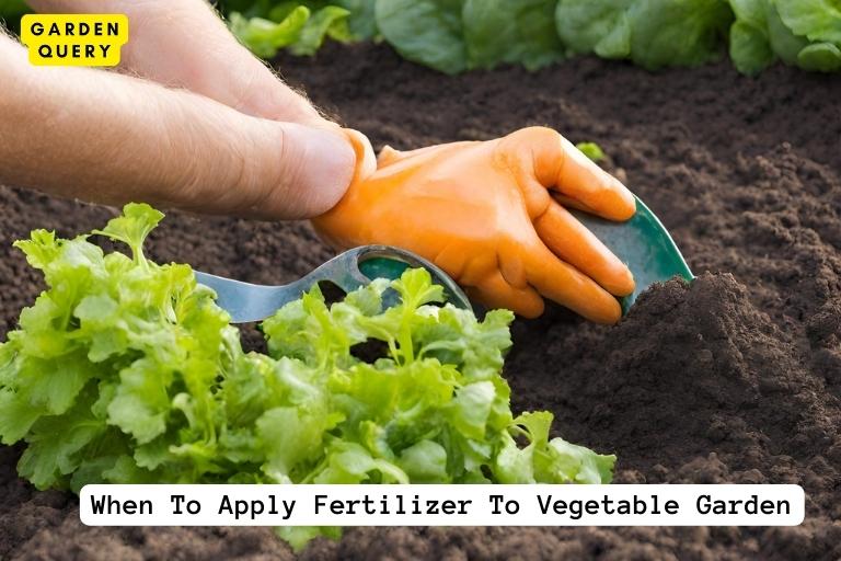 When To Apply Fertilizer To Vegetable Garden