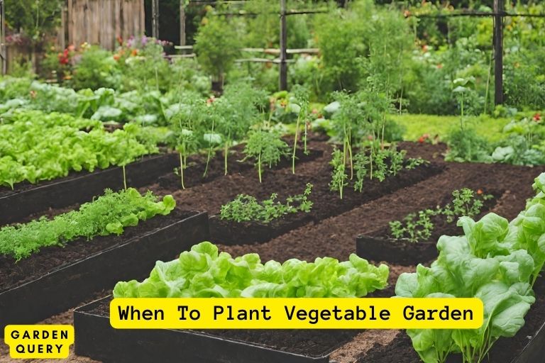 When To Plant Vegetable Garden