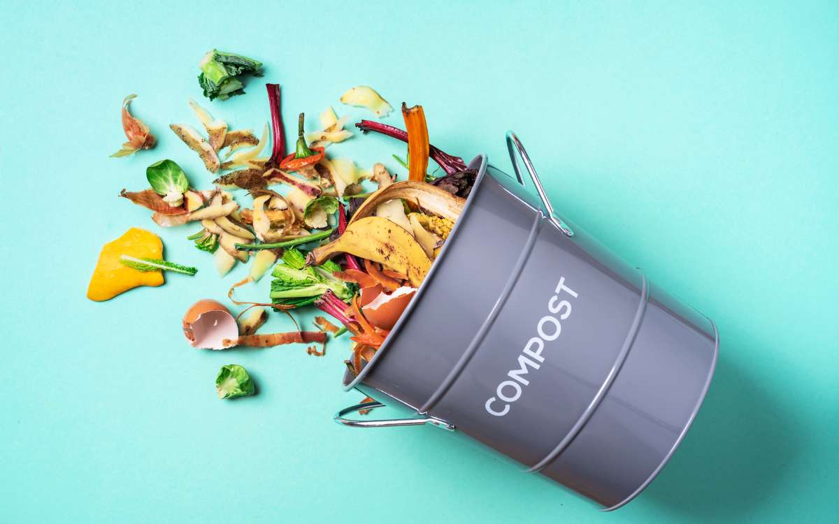 Green Burial Revolution Exploring Human Composting in Massachusetts